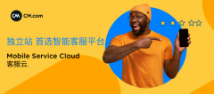 獨立站奔向海外的下半場，拼的究竟是什么？