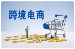 跨境電商獨立站的優(yōu)勢有哪些，新手如何入門？