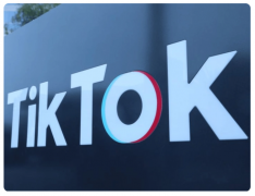 用TikTok為獨立站賦能，我們要如何布局呢？
