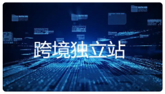 做獨(dú)立站：網(wǎng)紅營(yíng)銷(xiāo)渠道值得投入嗎？