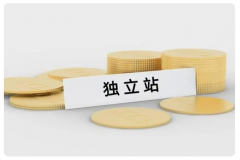 跨境電商新手小白要做獨(dú)立站？前景如何？