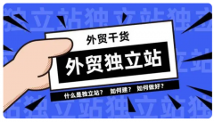 獨(dú)立站跨境電商現(xiàn)狀怎么樣啊？能掙錢(qián)嗎