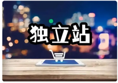 SaaS建站和傳統(tǒng)建站有什么區(qū)別？新手賣家該如何選擇？