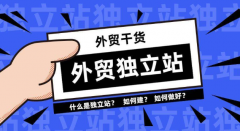 跨境電商獨(dú)立站SEO實(shí)操運(yùn)營(yíng)技巧有哪些？