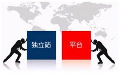 獨(dú)立站和跨境電商平臺(tái)的一個(gè)優(yōu)缺點(diǎn)對(duì)比，哪個(gè)更適合你？